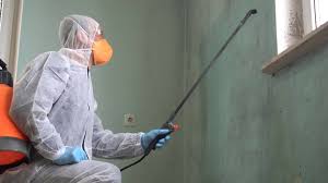 Best Industrial Mold Remediation  in Jackson, MN